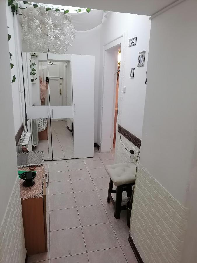 Low Cost Apartment Belgrad Dış mekan fotoğraf