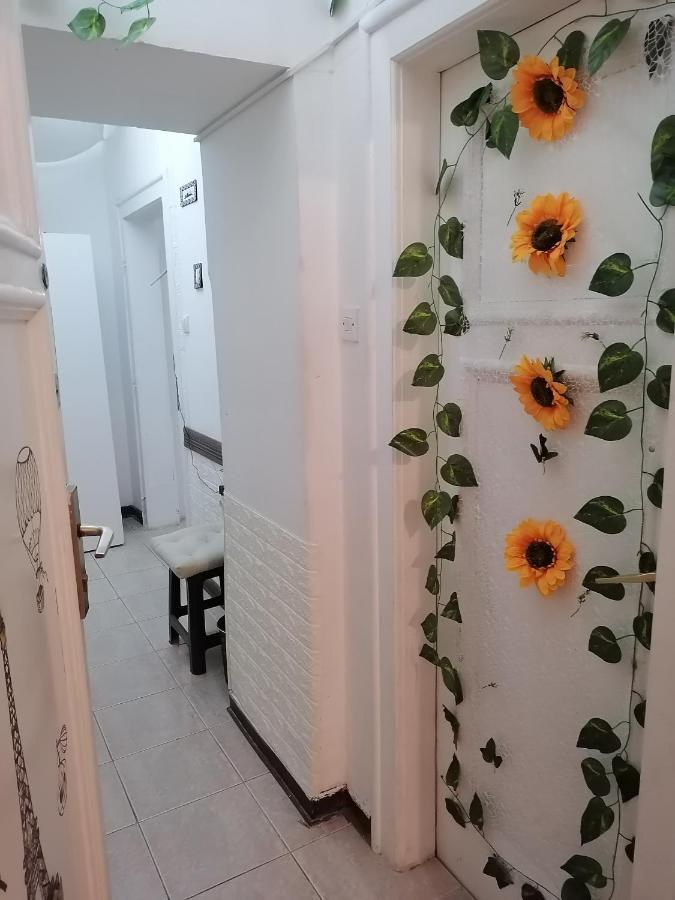 Low Cost Apartment Belgrad Dış mekan fotoğraf