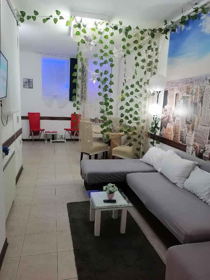 Low Cost Apartment Belgrad Dış mekan fotoğraf