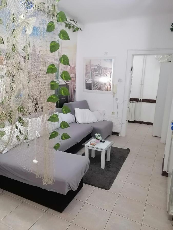 Low Cost Apartment Belgrad Dış mekan fotoğraf